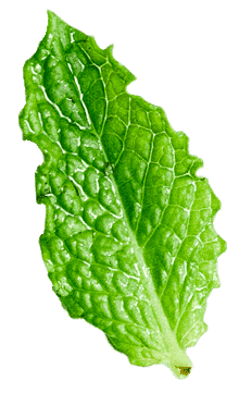 herbal-remedy_36